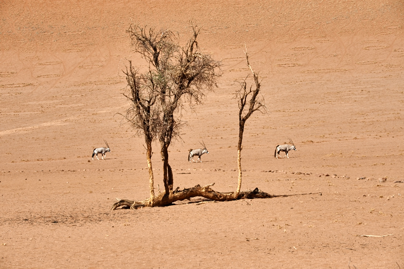 Namibia 15 035
