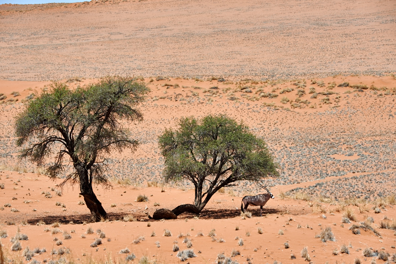 Namibia 15 043