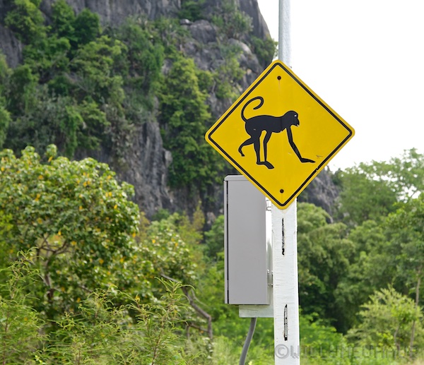 Asien14 Thailand2 100