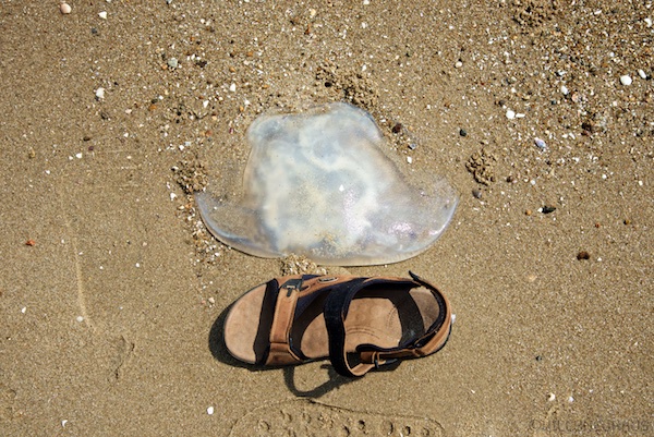 Asien14 Thailand2 112