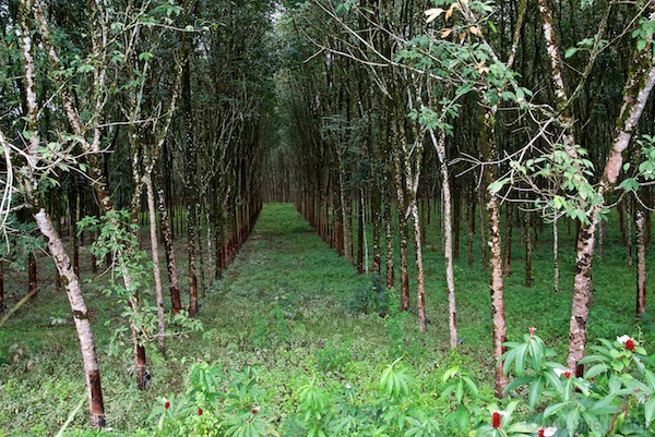 Asien14 Thailand2 30