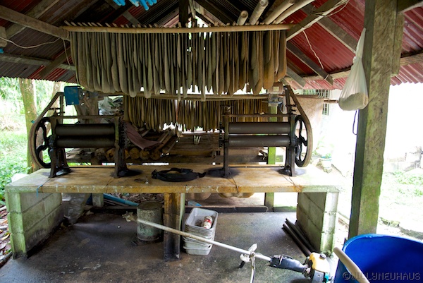 Asien14 Thailand2 31