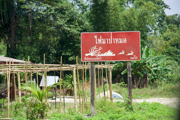 Asien14 Thailand2 43