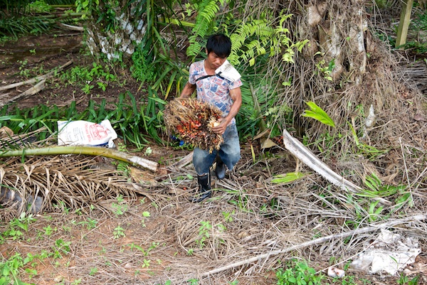 Asien14 Thailand2 49