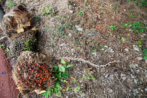 Asien14 Thailand2 51