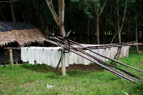 Asien14 Thailand2 52