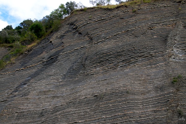 New Zealand 09 10  132