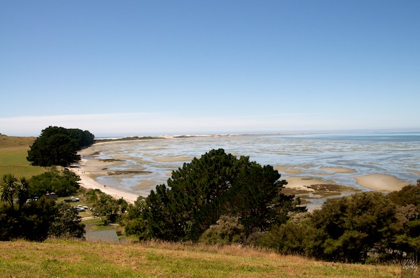 New Zealand 09 10  159