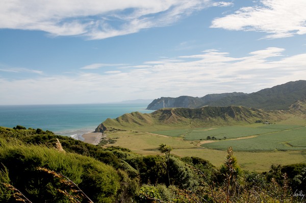 NewZealand 09 10  029