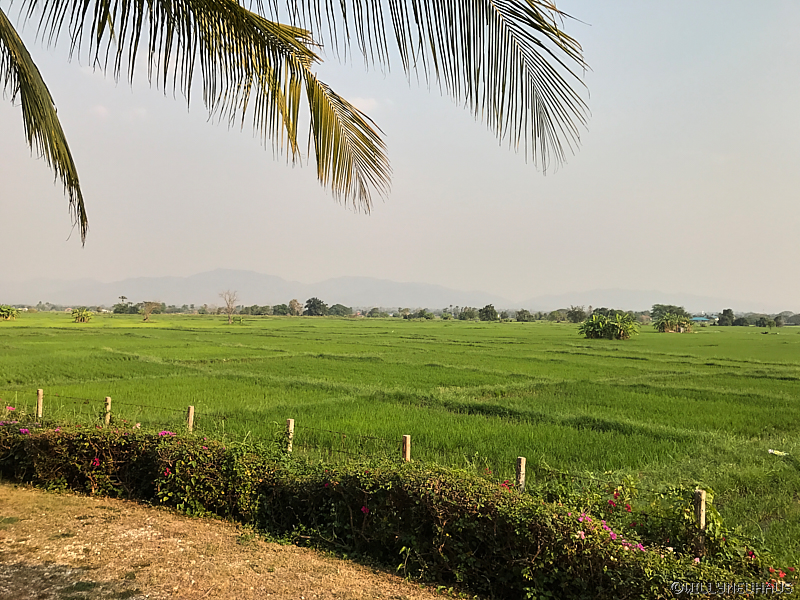 BaanSuchadaaLampang1