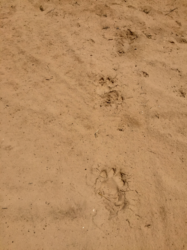 ChristophKgalagadiBotswana 9