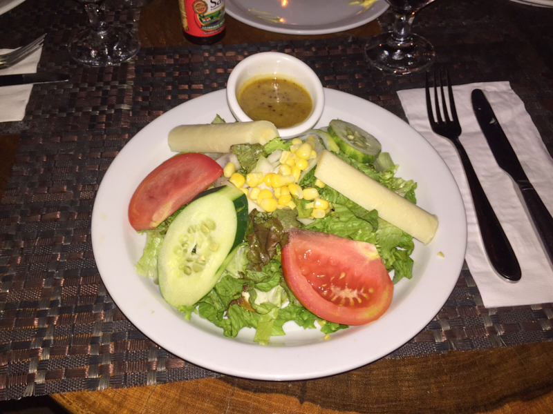 ElAvionManuelAntonioCostaRica 2