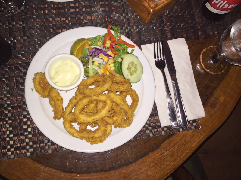 ElAvionManuelAntonioCostaRica 4