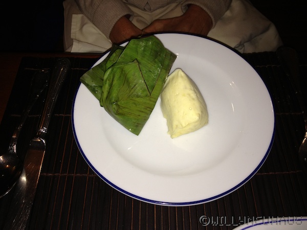 ElephantLuangPrabang 005