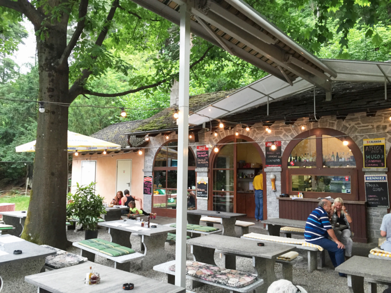 MadonnaDellaFontanaLosone 332