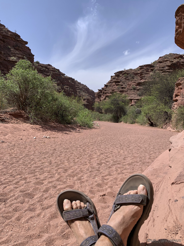 Cañòn de Talampaya