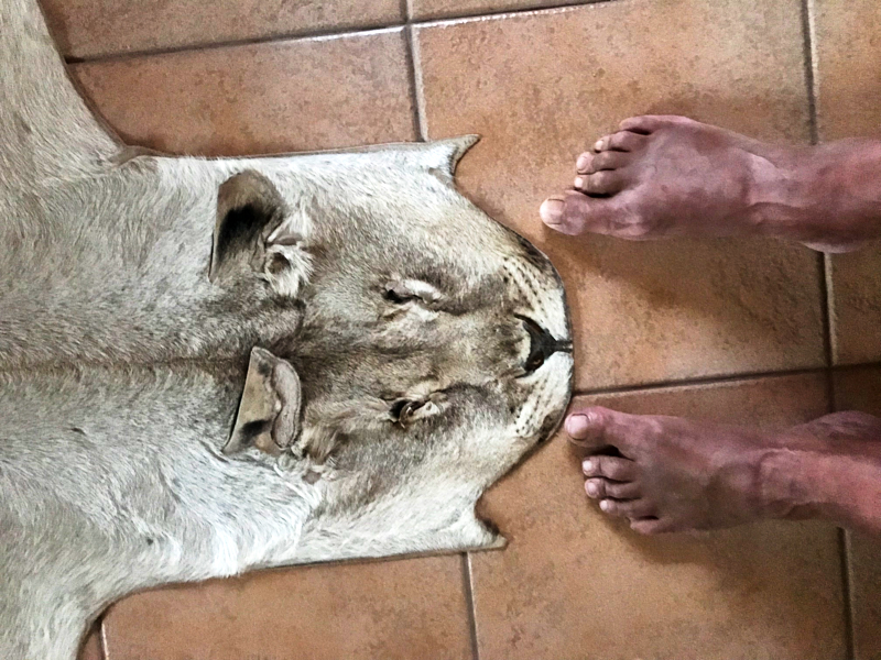 GästefarmRobynNamibia