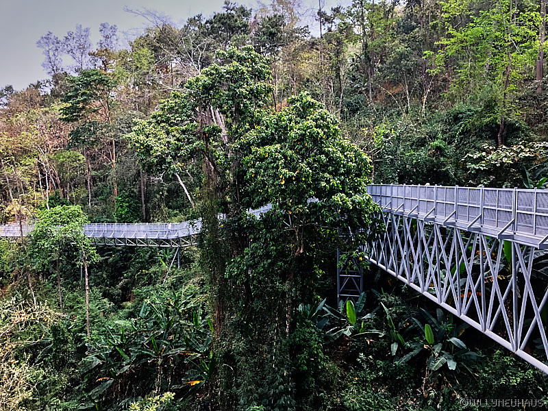 QueenSirikitBotanical1