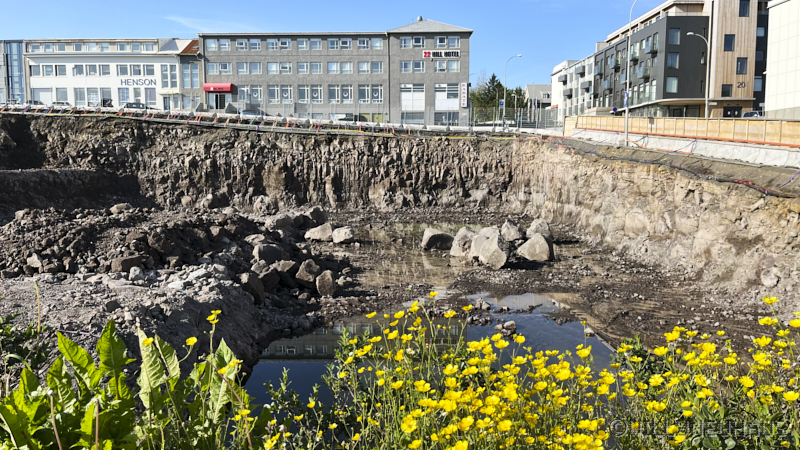 IslandGrönland23 006