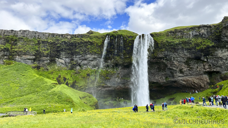 IslandGrönland23 057