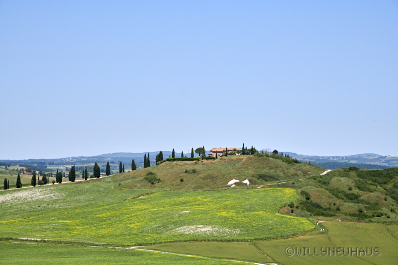 Toscana19 35