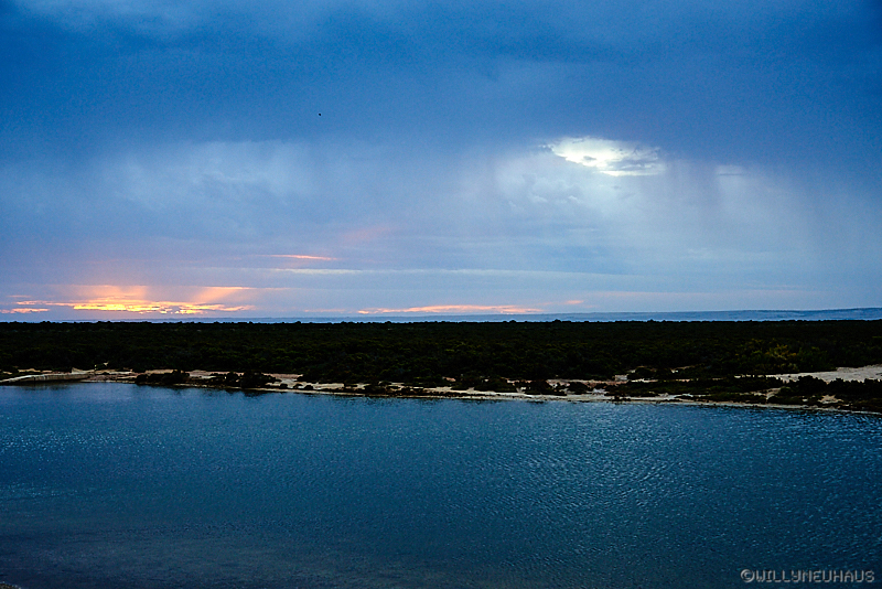 Australia 17 219