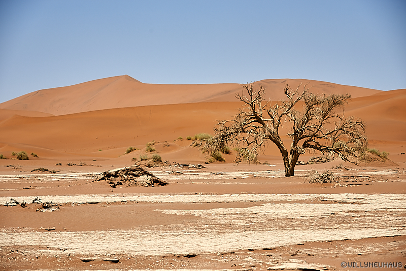 Namibia 17 035