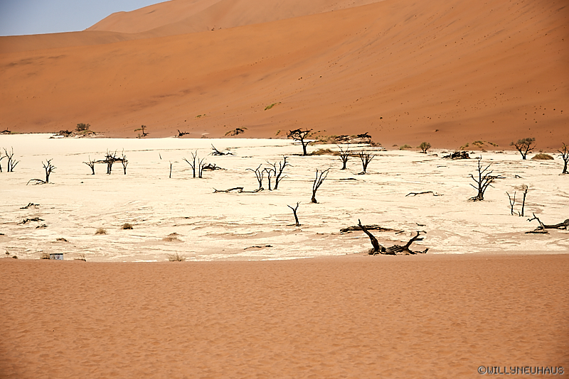 Namibia 17 038