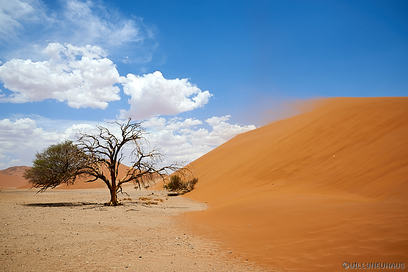 Namibia 17 039