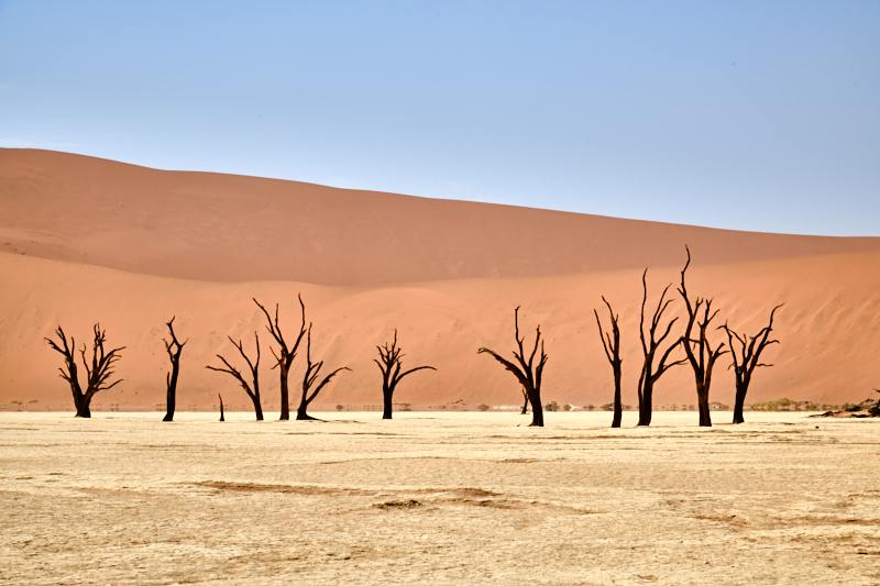 Namibia18 082