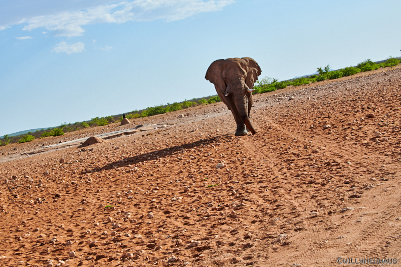 Namibia18 167