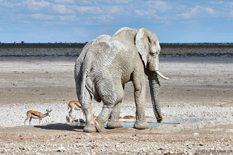 Namibia18 219