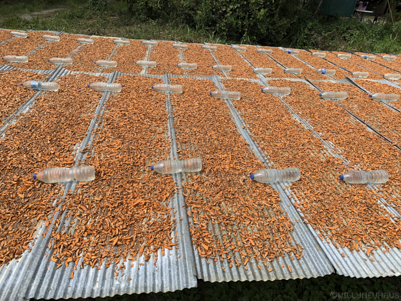 Thailand19allein 089