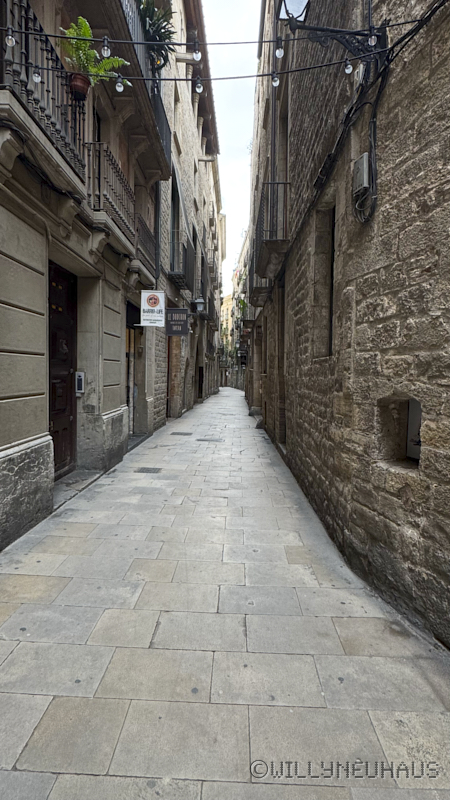 CruiseBarcelonaBuenosAires018