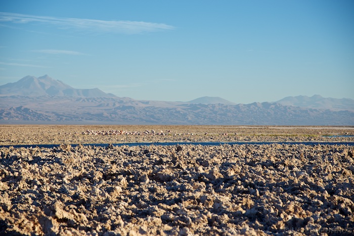 Atacama 14 16