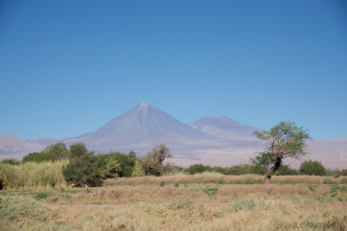 Atacama 14 6