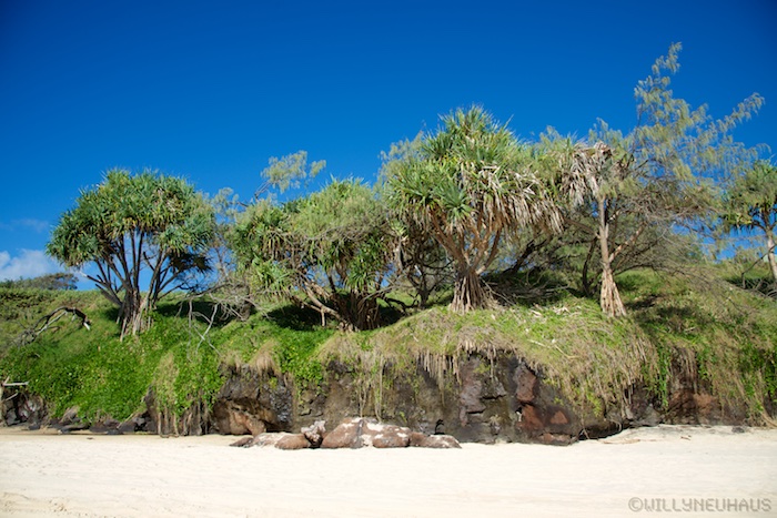 Australia east 14 106