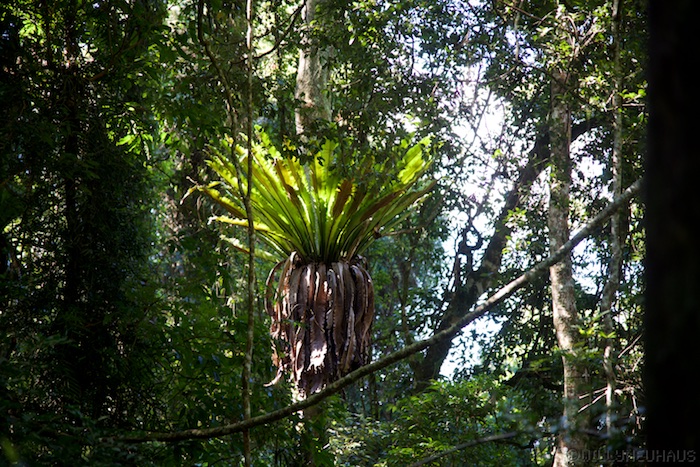 Australia east 14 131