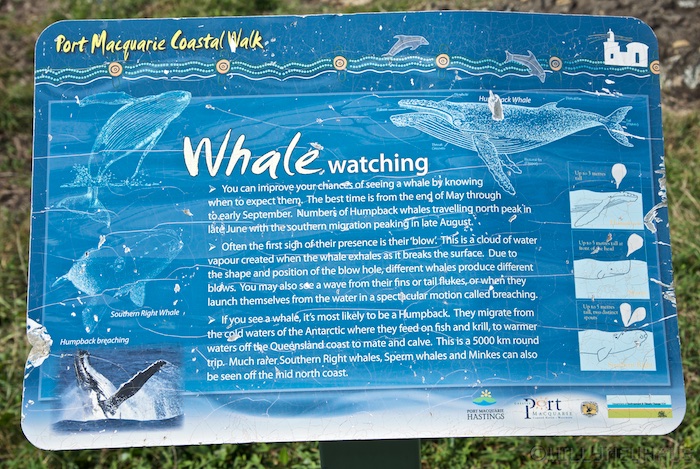 Australia east 14 136