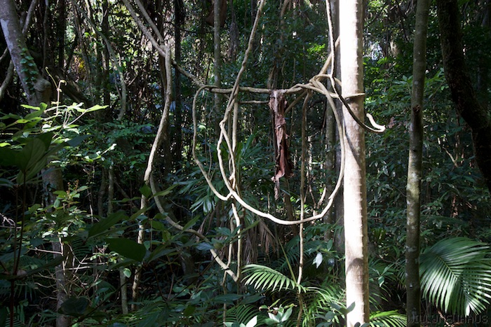 Australia east 14 138