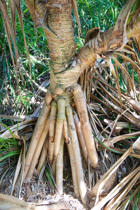 Australia east 14 141