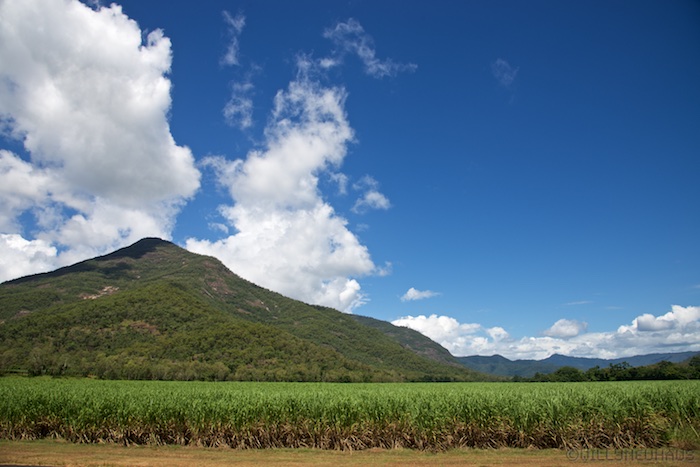 Australia east 14 36