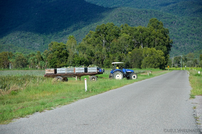 Australia east 14 53