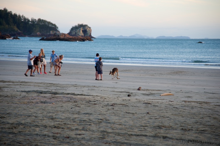 Australia east 14 80