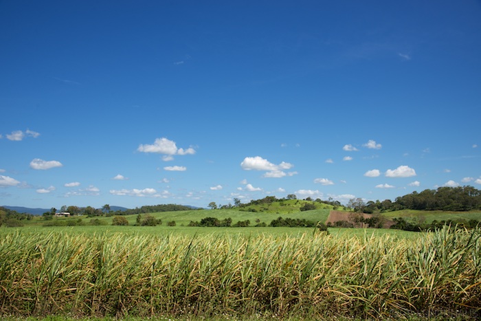 Australia east 14 88