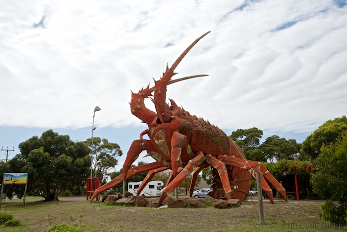 Australia south 14 105