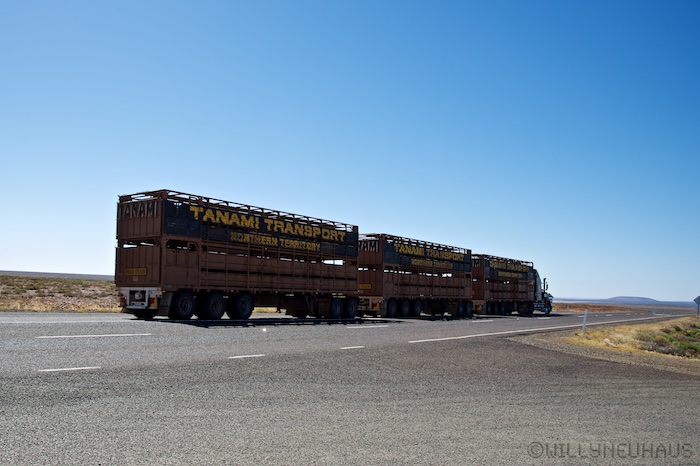 Australia south 14 114