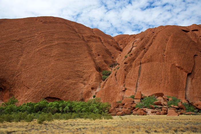 Australia south 14 127