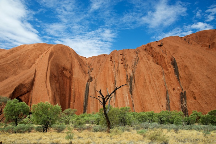 Australia south 14 129