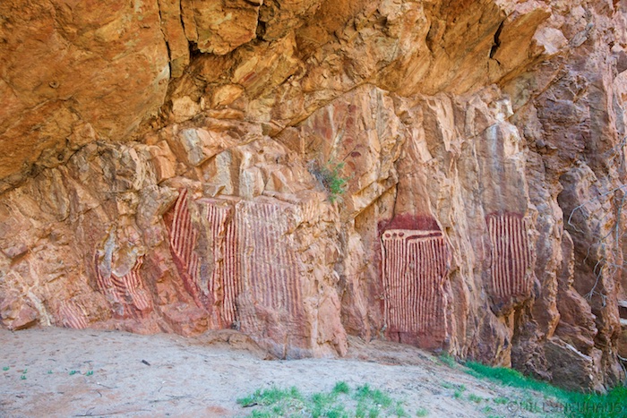 Australia south 14 146